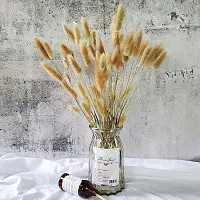 ROYAL SAPPHIRE Natural Dried Lagurus ovatus 6 Pcs, Dried Bunny Tails Pampas for Flower Arrangements Wedding Home Decor-thumb3