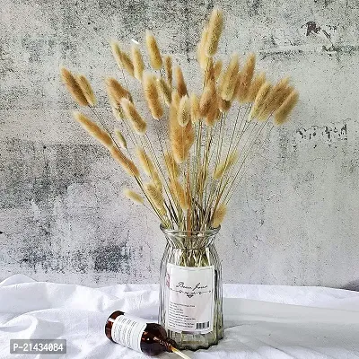 ROYAL SAPPHIRE Natural Dried Lagurus ovatus 6 Pcs, Dried Bunny Tails Pampas for Flower Arrangements Wedding Home Decor-thumb4