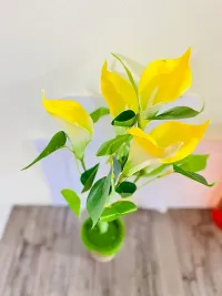 ROYAL SAPPHIRE Artificial Flowers Fake Lily's Bunch 5pcs Flowers with Leaves Real Touch with vase Pot for Home Office Corner Restaurant Centerpieces Decoration-(Yellow)-thumb1