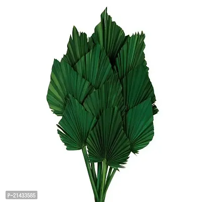 ROYAL SAPPHIRE Dried Palm Spear Stems - Set of 8 Green Color