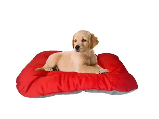 Best Selling Pet Supplies 