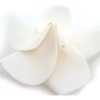 Classic Classic2.4 Inch Artificial Plumier Rubric Hawaiian Flower Petals Hair Hat Wreath Floral Hawaiian Foam Frangipani Flowers For Diy Home Beach Wedding Party Decoration (White, 24)-thumb2