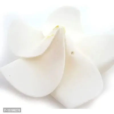 Classic Classic2.4 Inch Artificial Plumier Rubric Hawaiian Flower Petals Hair Hat Wreath Floral Hawaiian Foam Frangipani Flowers For Diy Home Beach Wedding Party Decoration (White, 24)-thumb3