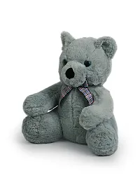 Dukiekooky Cute  Adorable Blue Hugging Teddy Bear Soft / Plush Toy for Kids, Height 35 Cm-thumb1