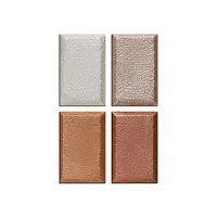Glam21 Perfect Me! Highlighter Palette Blusher Illuminating Glow Face Kit 6gm (Shade-01)-thumb2
