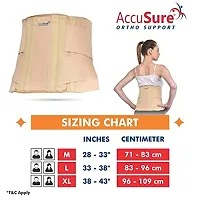 AccuSure Sacro Lumbar Support Belt For Men  Women (S)-thumb4