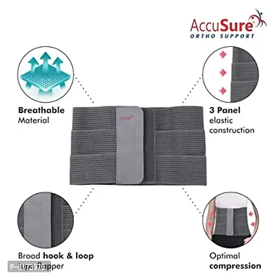 Buy AccuSure Tummy Trimmer Belt- Weight Lose Slimming Belt, Tummy Trimmer  Band Abdominal Binder (L) Online In India At Discounted Prices