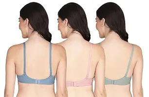 Women' s Cotton padded Bra Pack Of 3 (Multicolor)-thumb2