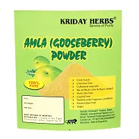 PURE  NATURAL AMLA POWDER 100 GM-thumb2