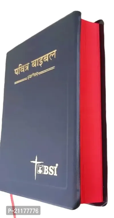 PAVITRA BIBLE IN HINDI || HOLY BOOK BIBLE ||