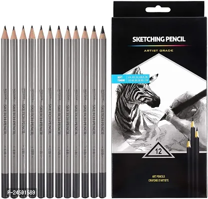 SKYGOLD WORISONN SKETCHING PENCIL SET 12 SHADES FOR ARTISTS-thumb0