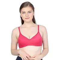 Women Cotton Lace Lightly Padded Bra, Pack of 4 Combo, Multicolor-thumb2