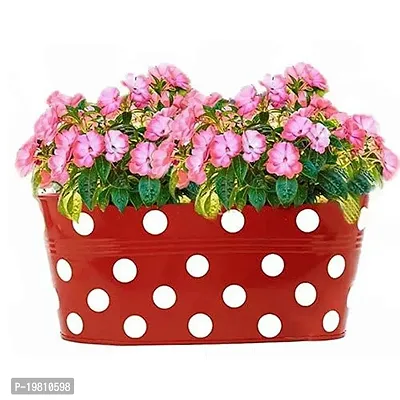 Premium Quality Oval Dotted Metal Railing Planters Hanging Flower Pots For Balcony Decor (1 Qty, Red)