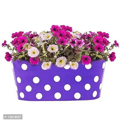 Premium Quality Oval Dotted Metal Railing Planters Hanging Flower Pots For Balcony Decor (1 Qty, Purple)