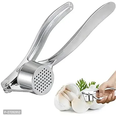 Garlic Crusher Stainless Steel Curved Garlic Pressed Heavy Duty Kitchen Tool Garlic Mincer Manual Ginger Chopper-thumb0