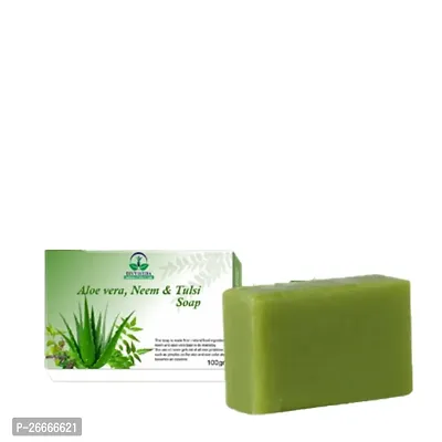 Shree Gayatri Organic And Herbal Products Aloe Vera Neem Tulsa Soap 100gm-thumb0