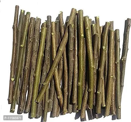 VEENA@? Pack of 40 Pieces Ayurvedic Natural Organic Neem Datun (Moti Datun) Organic Toothbrush Nim Tree Twigs Chew Sticks for Brushing Teeth Removes Bad Breath, Toothpaste ( Fresh,@W20