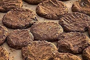 Direct From Our Village Pack of 6 Pieces Cow Dung Cakes Hand Made Pack Indian Desi Cow's Dung Gobar Kande for Hawan Puja Gobar Kande | Thepdi | Upla (Ideal for Hawan Pujan) ||VE760-thumb4