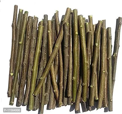 VEENA? Pack of 40 Pieces Ayurvedic Natural Organic Neem Datun (Moti Datun) Organic Toothbrush Nim Tree Twigs Chew Sticks for Brushing Teeth Removes Bad Breath,Toothpaste ( Fresh,1AQ6