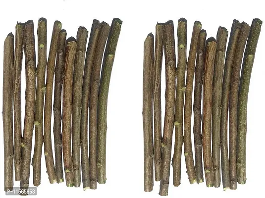 VEENA? Pack of 40 Pieces Ayurvedic Natural Organic Neem Datun (Moti Datun) Organic Toothbrush Nim Tree Twigs Chew Sticks for Brushing Teeth Removes Bad Breath, Toothpaste ( Fresh,F1WW21-thumb4