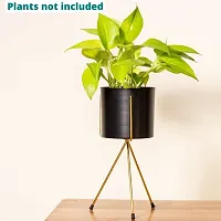 Black Metal Tabletop Planter with Gold Stand for home and Garden decor | 5Inch Metal Pot | Plants not included-thumb3