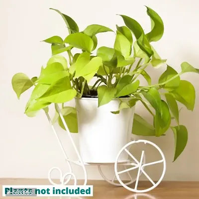 White TableTop Metal Planter Pot With Cart Type Stand For Home And Garden Decor | 4.3Inch  Metal Pot | Plants not included-thumb2