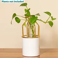 White Metal Bottle Planter pot with Gold Cage type stand for Home Decor and indoor gardening-thumb1