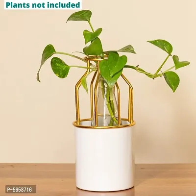 White Metal Bottle Planter pot with Gold Cage type stand for Home Decor and indoor gardening-thumb2