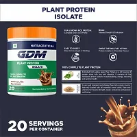 GDM plant protein Powder - 20 Servings (400 g, Rich chocolate)-thumb1