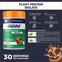 GDM plant protein Powder - 30 Servings (600 g, Rich chocolate)-thumb2