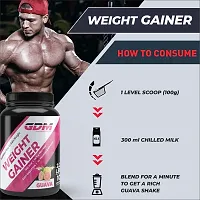 GDM Premium Nutritious way to gain weight, Weight Gainers (1 kg, GUAVA)-thumb2