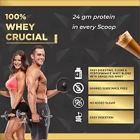 GDM 100% Whey Crucial Protein Supplement - 48 Servings ( 1.5 Kg - Coffee Flavor)-thumb4