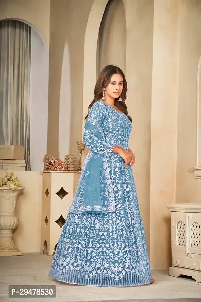 Elegant Blue Net Embroidered Dress Material with Dupatta For Women-thumb2