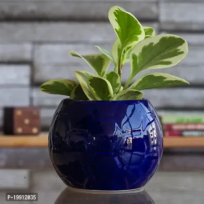 Beatiful Ceramic Showpiece For Indoor-thumb0