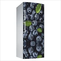 Decorative Single Door, Double Door Self-Adhesive, Waterproof Fridge Sticker/Wallpaper/Poster PVC Vinyl Print (Size 24x49.5 Inch)-thumb3