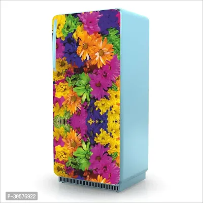 Decorative Single Door, Double Door Self-Adhesive, Waterproof Fridge Sticker/Wallpaper/Poster PVC Vinyl Print (Size 24x49.5 Inch)