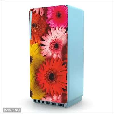 Decorative Single Door, Double Door Self-Adhesive, Waterproof Fridge Sticker/Wallpaper/Poster PVC Vinyl Print (Size 24x49.5 Inch)