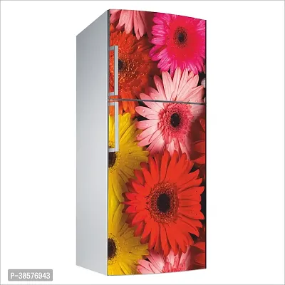 Decorative Single Door, Double Door Self-Adhesive, Waterproof Fridge Sticker/Wallpaper/Poster PVC Vinyl Print (Size 24x49.5 Inch)-thumb3