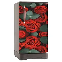 Decorative Single Door, Double Door Self-Adhesive, Waterproof Fridge Sticker/Wallpaper/Poster PVC Vinyl Print (Size 24x49.5 Inch)-thumb4