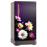 Decorative Single Door, Double Door Self-Adhesive, Waterproof Fridge Sticker/Wallpaper/Poster PVC Vinyl Print (Size 24x49.5 Inch)-thumb4