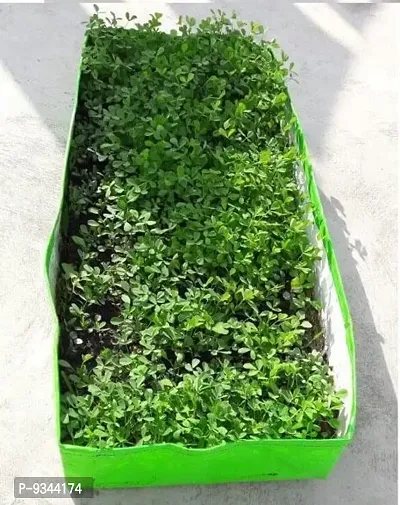 Trendy Garden Creation 250Gsm Hdpe Rectangular Grow Bags 3Feet 2Feet 1Feet For Garden, Fish Breeding And Azolla Harvesting - Set Of 1Pcs-thumb3