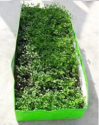 Trendy Garden Creation 250Gsm Hdpe Rectangular Grow Bags 3Feet 2Feet 1Feet For Garden, Fish Breeding And Azolla Harvesting - Set Of 2Pcs-thumb2