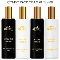 Premium Perfume Gift Set of 4 Unique Fragrances  20 ml each  Perfume For Men-thumb1