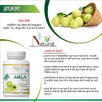 Natural Amla Herbal Capsules For Skin & Hair 100% Ayurvedic-thumb1