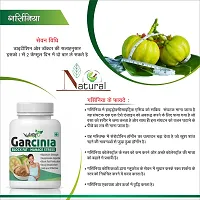 Natural Garcinia Herbal Capsules For Weight Loss & Improve Metabolism 100% Ayurvedic-thumb1