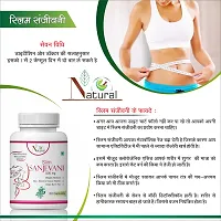 Natural Slim Sanjevani Herbal Capsules For Fast Weight Loss Formula 100% Ayurvedic-thumb1