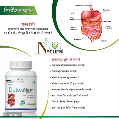 Natural Detox Plus Herbal Capsules For Helps In Digestion  Colon Clean 100% Ayurvedic-thumb2