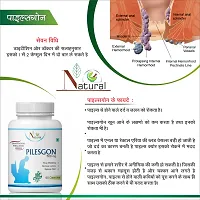 Natural Pilesgon Capsules For Piles Free Stop Bleeding 100% Ayurvedic-thumb1