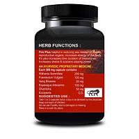 Fire Plus Herbal Capsules For Reduce Weakness In Male Organ 100% Ayurvedic (60 Capsules)-thumb2