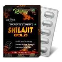 Shilajit Gold Herbal Capsules Recovers Muscles Power Stamina For Men Women  Pack Of 3-30 Tablets-thumb3